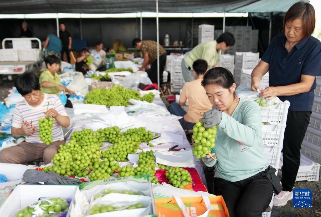 众搏棋牌下载